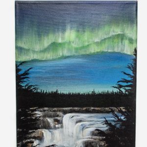 Cameron Falls, NWT. (Karen Novak)