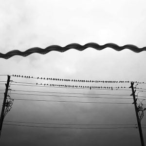 A Cinematic Glimpse (Raghuvamsh Chavali)