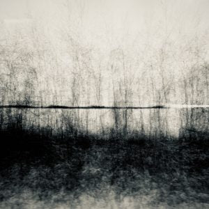 Revealed (#1 of 7) (Steve Kean)