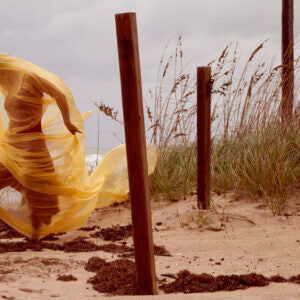 Tangled by Sandy Winds, Yellow (Nika Belianina)