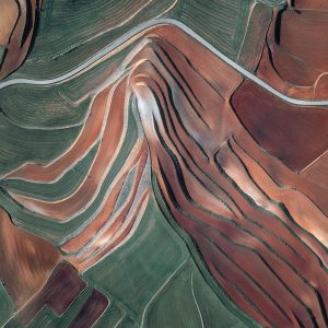 Fallow Fields (Seasons I, Fall) (Carolyn Cheng)