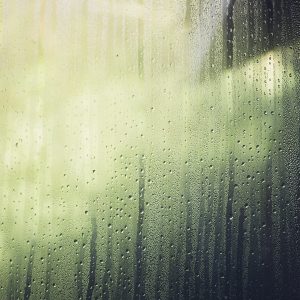 Rainy Days (Alex Hall)