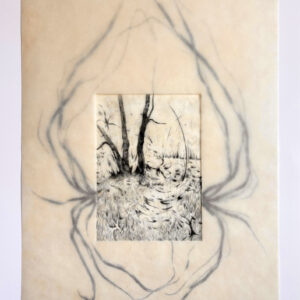 Interconnected (Emily Conlon)