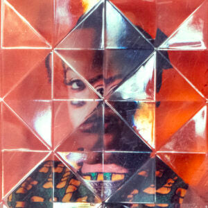 Distorted Not Disturbed (Nika Belianina)