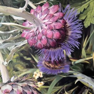 The garden thistle (Kylie Sandford)
