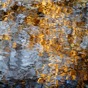 All that Glitters (Lori Ryerson)