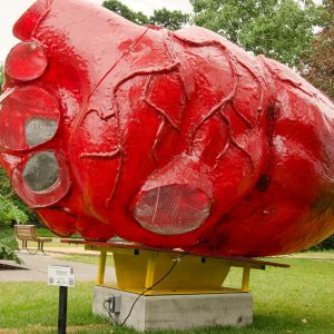 BEATING HEART (ronald simmer)