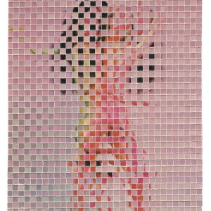 Overstimulated (Erin McGean)