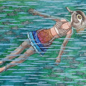 Wood Duck (Stephanie Hill)