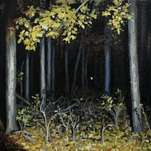 Dreamlight (Ash Godley)