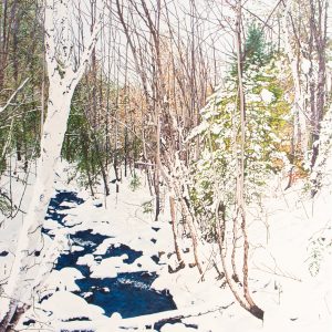 Réveil de la rivière au printemps (Charlesbourg, QC) (Julie Desmarais)
