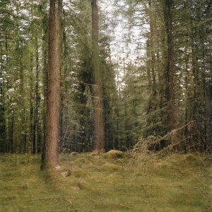Backwoods 1 (Ana Kapodistria)