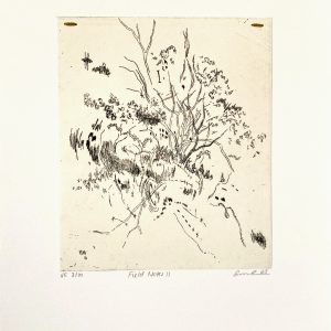Field Notes II (Emily Conlon)
