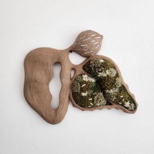 Algae I (Xuemei  Lu)