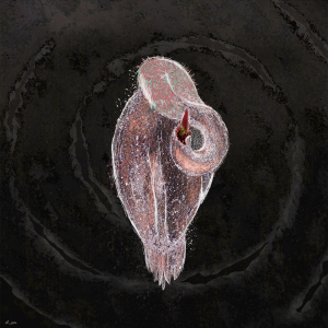 The Last Curve (Lovia Maleki)