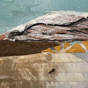 Landscapes (5-6) (Jessica Peters)