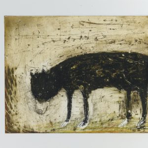 Old Dog (Allison McCall)