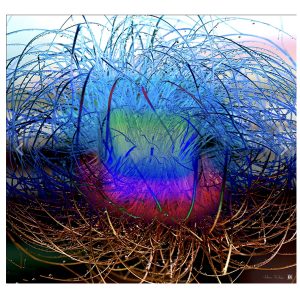 Nest of the Phoenix by Alan McKee (Amazing Moss Park Art Collective)