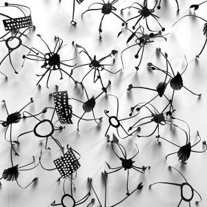 Cordyceps (Zhan Zhang)