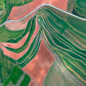 Fallow Fields (Seasons, Spring) (Carolyn Cheng)