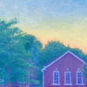 Summer Sunset In Suburbia (Adam Chemille)