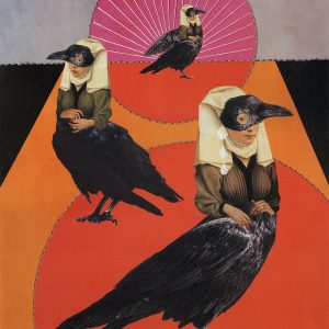 When the crows cry (Daria  Beer)