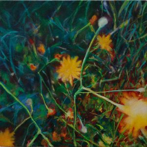 Dandelion (a lot to offer) (Freda Tan)