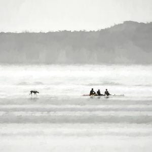Wetsuits, Tofino (Lara Shecter)