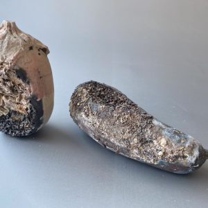 DECREPIT by ANDREA POORTER (Toronto Potters)