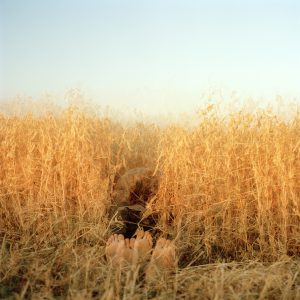 Field Sunset 2 (Ana Kapodistria)