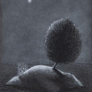 Silent Bloom (Sadaf Pourghorbani)