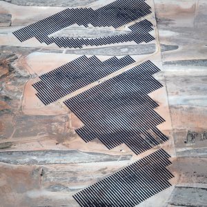 Fallow Fields (Power Lines II) (Carolyn Cheng)