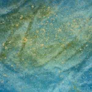 Night Wake (Lise Anne Janis)