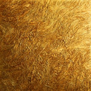 Golden Grass of Karmë Chöling (24K) (Richard Bull)