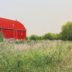 Grange rouge avec champ de verdure sauvage (Prince Edward County, ON) (Julie Desmarais)