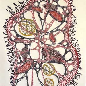 Delicate Strength (Maria Doering)