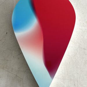 'Laminar Vesicle' (Michael Xavier De Francesca)