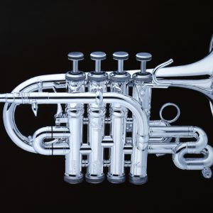 Cornet (Michael Harris)