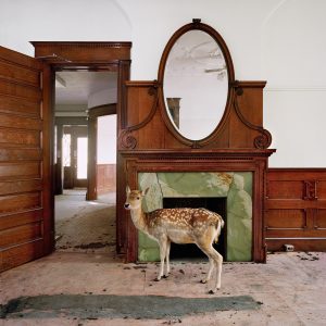 Reflection (Maureen O'Connor)