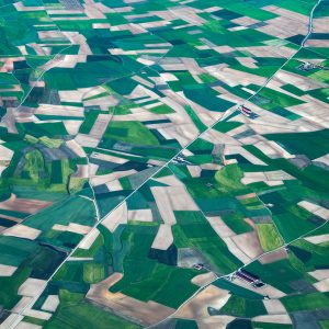 Fallow Fields (Parceled Lands, Spring) (Carolyn Cheng)