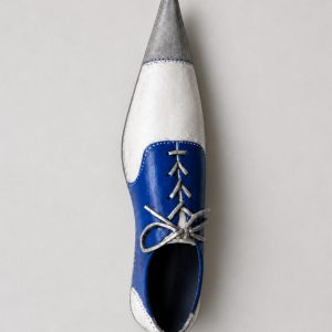 Shoe 1 (Susan Valyi)