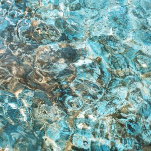 Coral Rippling (Meaghan Ogilvie)