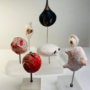 Things Removed series (K MacLean)