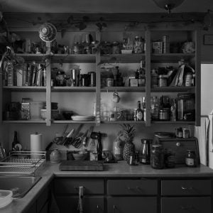 The Artist's Kitchen (Film Developing Lab) (Neil Kehler)