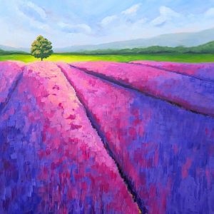 Lavender Rising (Elvan Suzer)