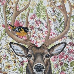 Deer with Oriole (Tara Walkey)