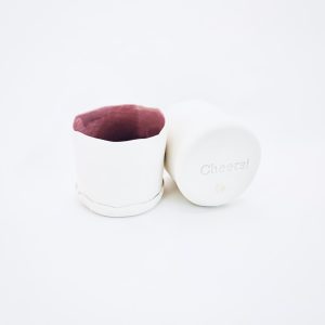 Burgundy Cheers! Tumbler (Isabelle Huot)