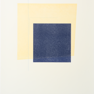 Untitled (Sylvain Côté)