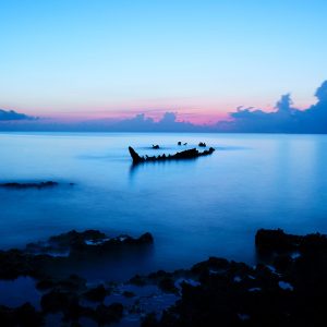 Mechanical Whale Wreck (Anthony Ranieri)