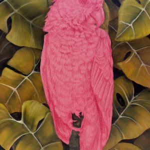 She Wasn't Sleeping (Kari Serrao)